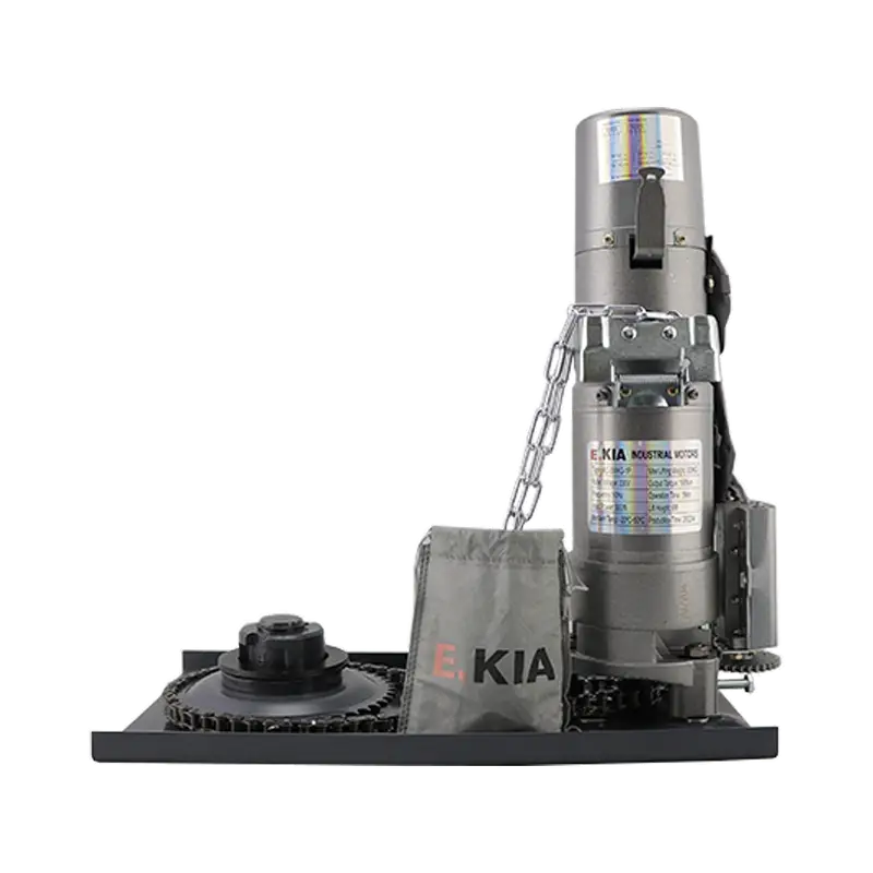 موتور E.KIA 300 (2)